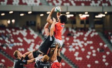 视频布莱顿最新消息高清（布莱顿百科）