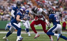 马赛冠军最新（赛马比赛冠军）