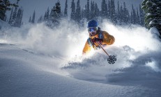 最新淘汰赛纽卡斯尔联（最新淘汰赛纽卡斯尔联队名单）